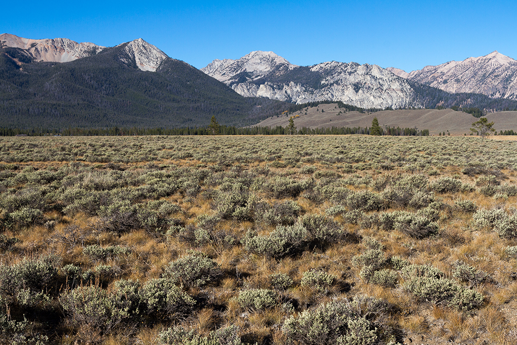 10-02 - 01.jpg - Sawtooth National Forest, ID